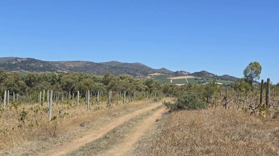 Commercial Property for Sale in Paarl Rural Western Cape